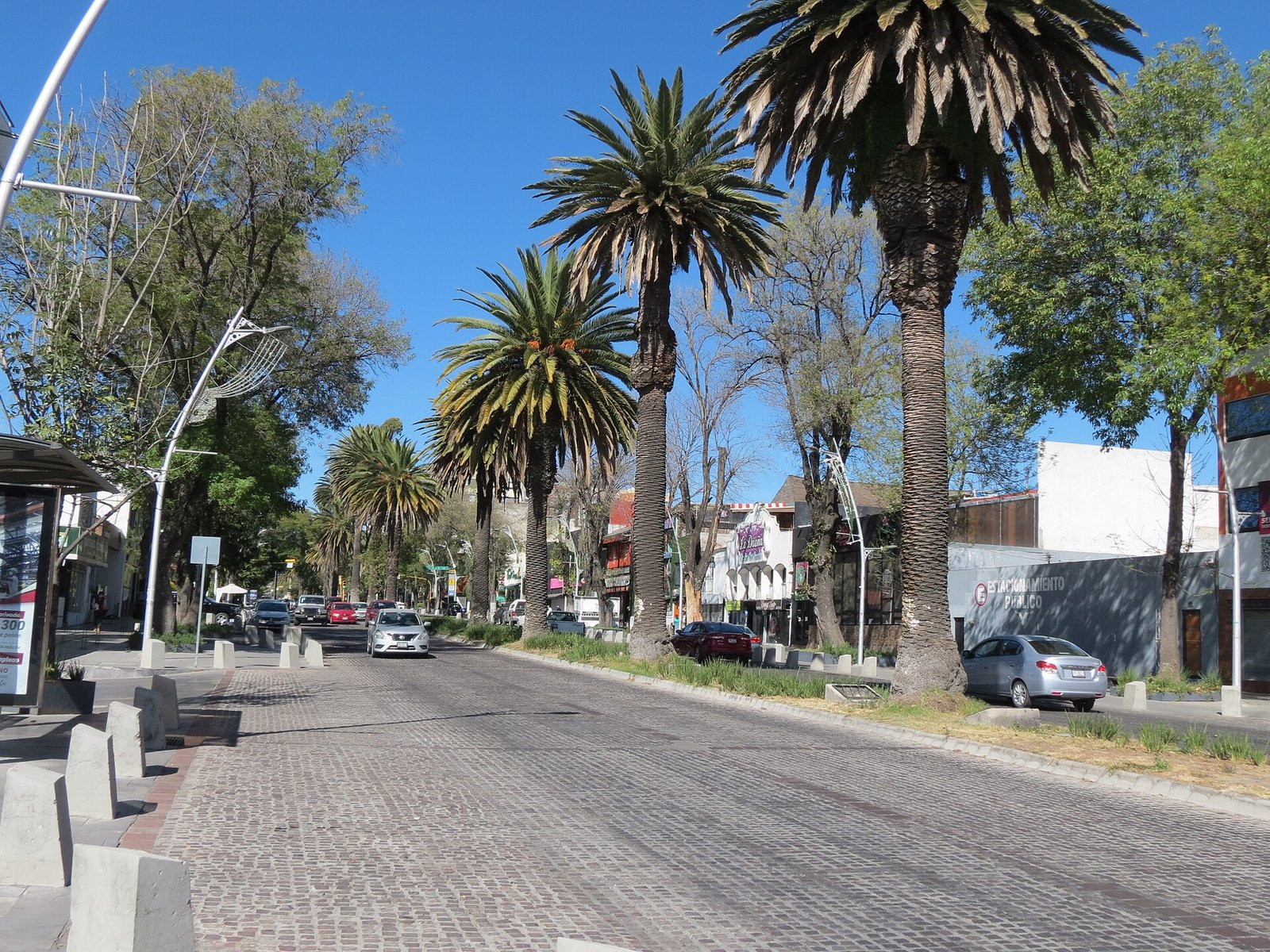 Avenida Juárez de Puebla a la altura de la calle 19 Sur, con palmeras en el camellón