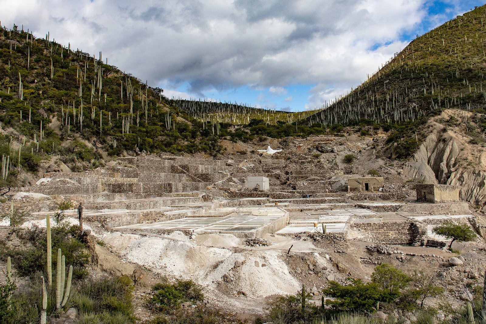 Salinas de Zapotitlán Salinas, en la Mixteca Poblana, rodeadas de cerros con cactáceas columnares