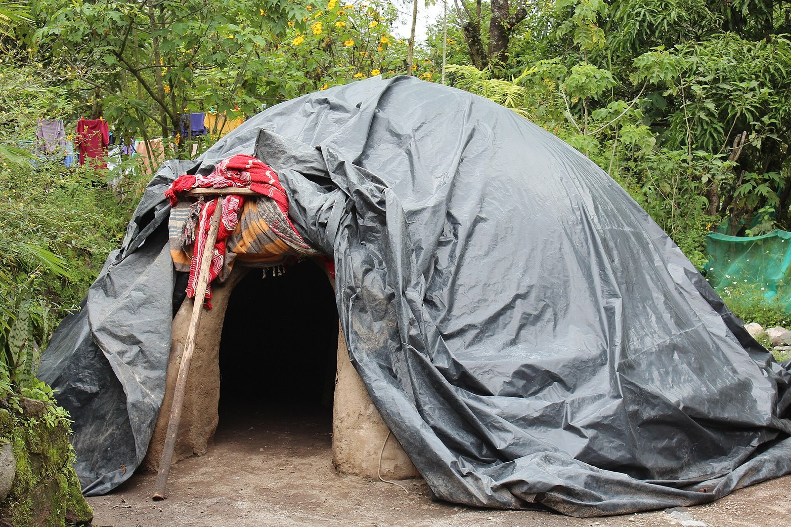 Temazcal de adobe cubierto con una lona, con la entrada baja abierta, entre vegetación