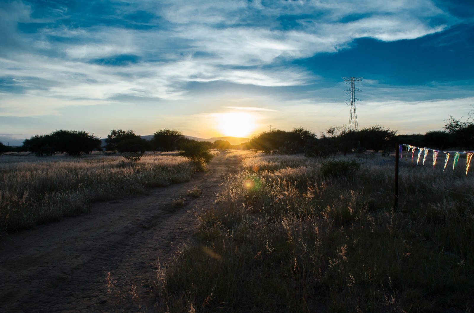 Camino de terracería entre pastizales y mezquites al atardecer en Tequisquiapan, Querétaro