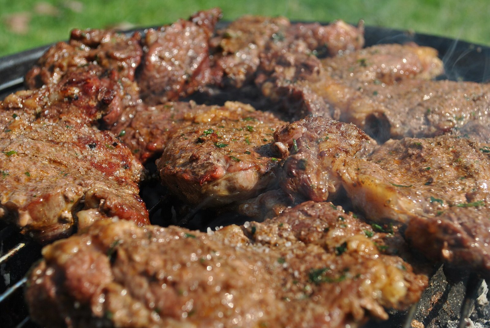 Cortes de carne asándose sobre una parrilla de carbón