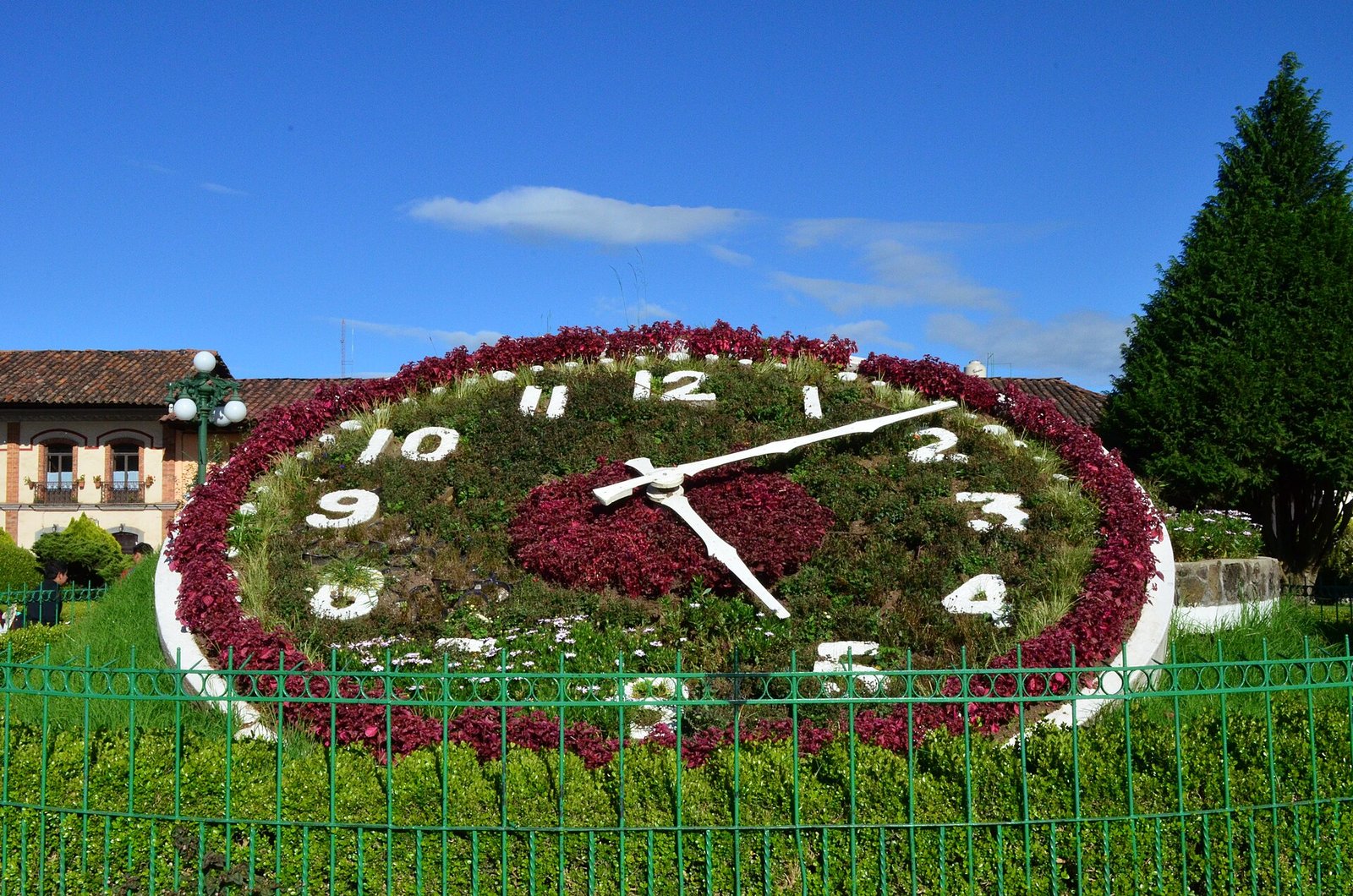 Reloj floral de la plaza principal de Zacatlán, con números blancos sobre un jardín de flores rojas