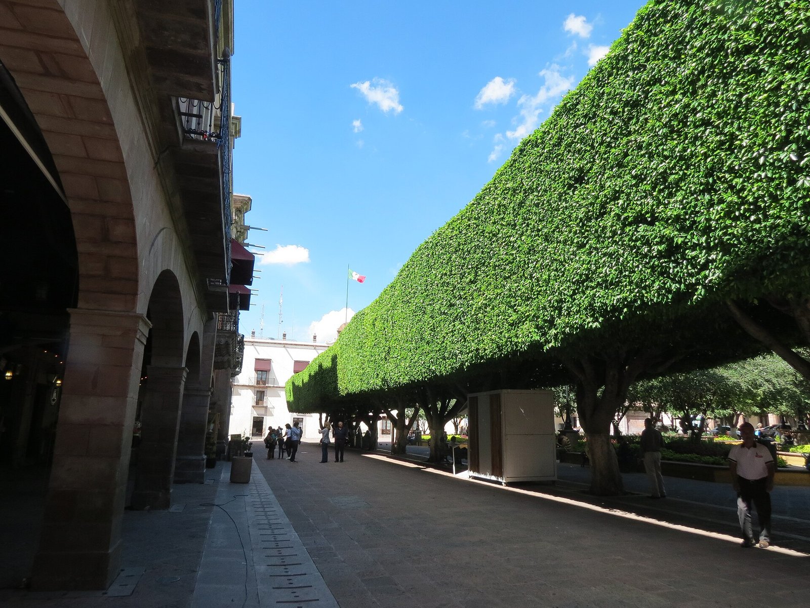 Portales y árboles recortados de la Plaza de Armas del centro de Querétaro