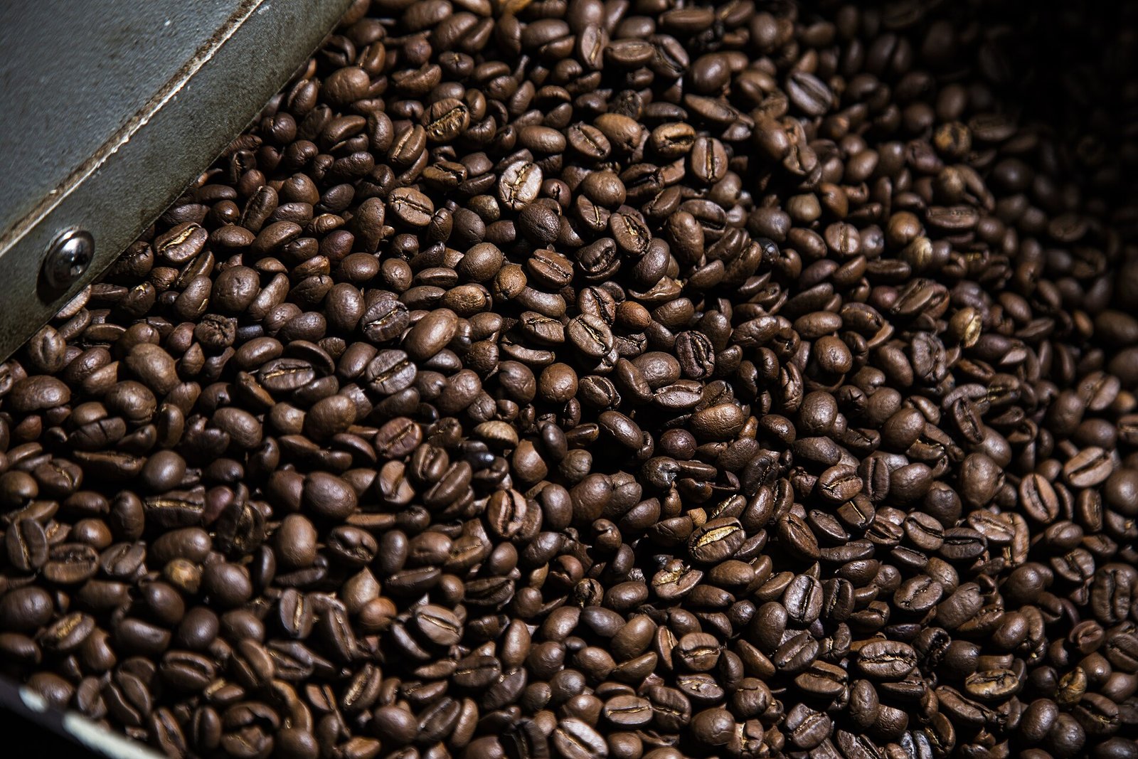 Granos de café recién tostados en una charola metálica