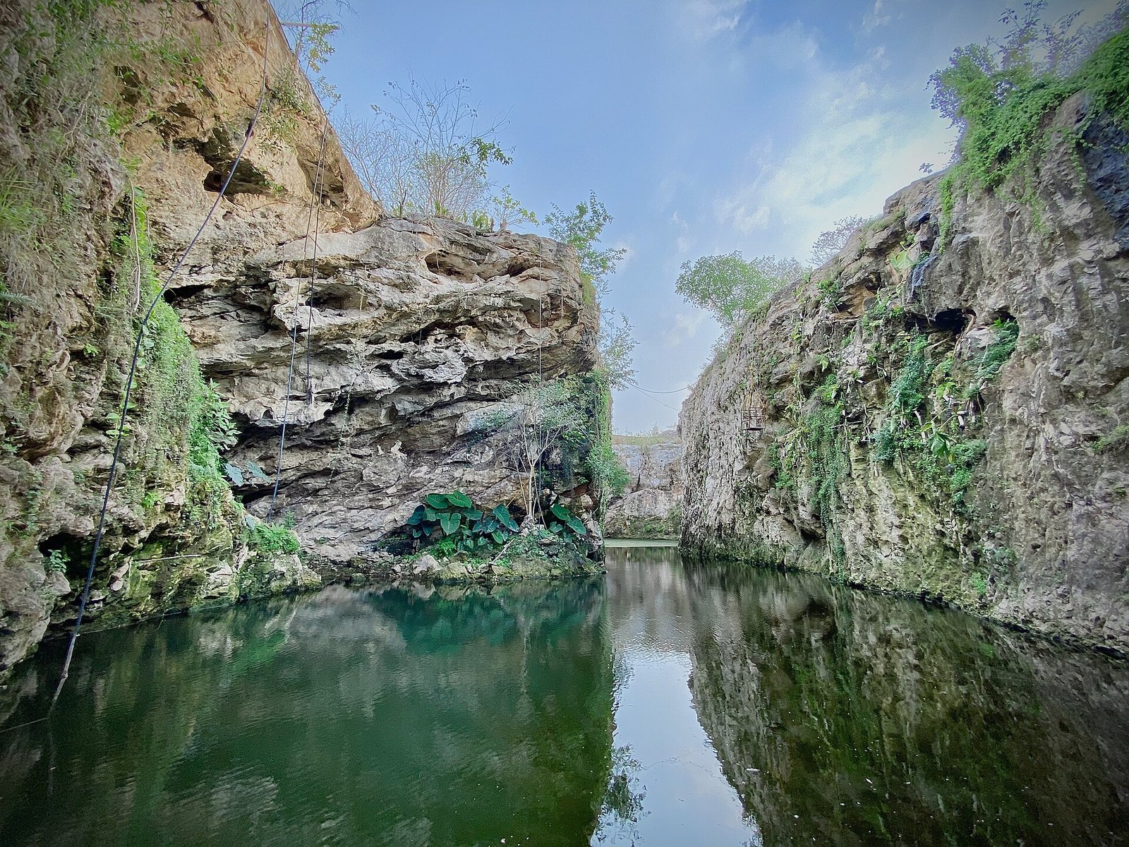 Cenote a cielo abierto con paredes de roca caliza y vegetación, en Santa Bárbara, Homún, Yucatán