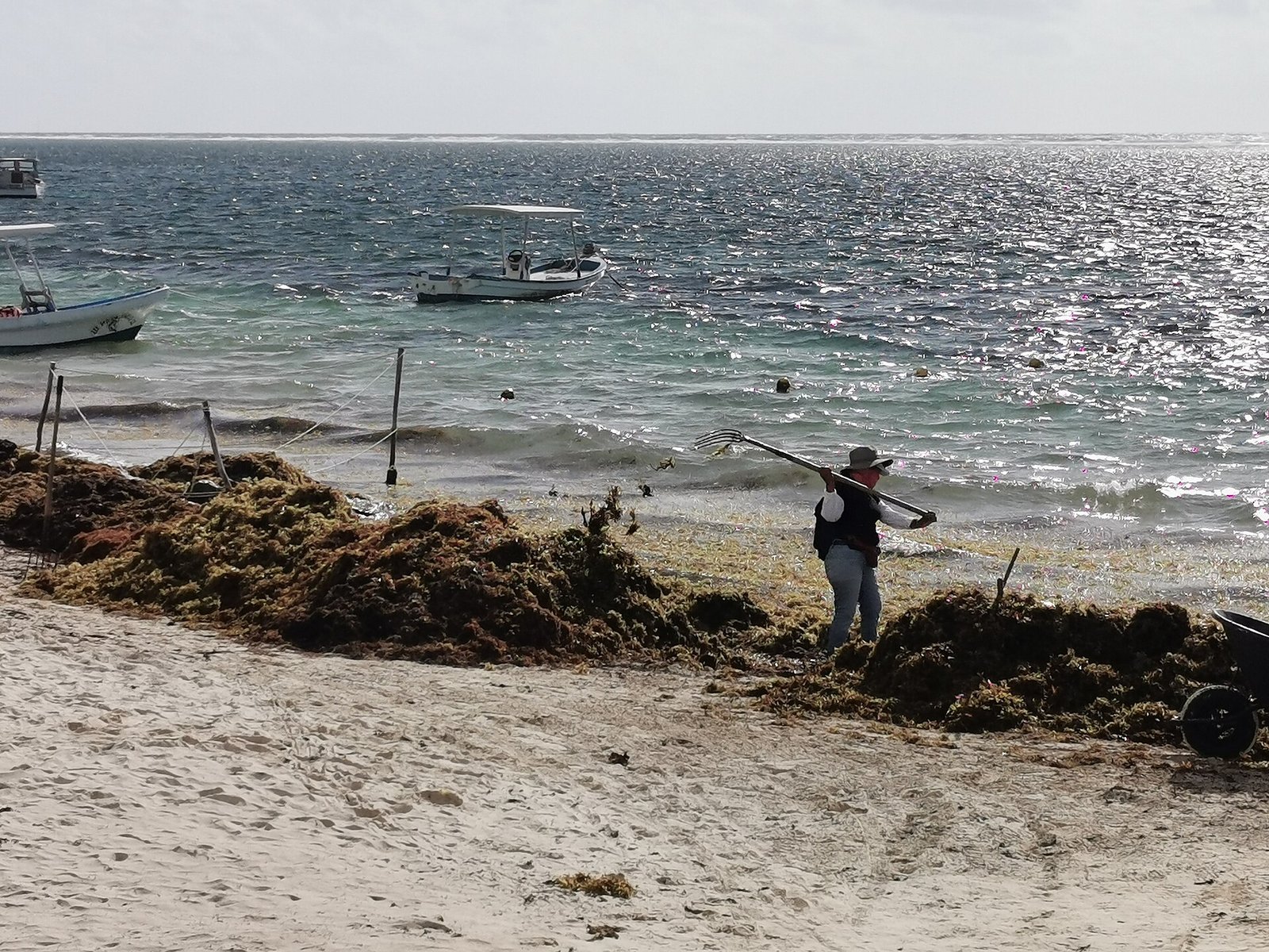 Trabajador retira con un rastrillo montones de sargazo en una playa de Puerto Morelos